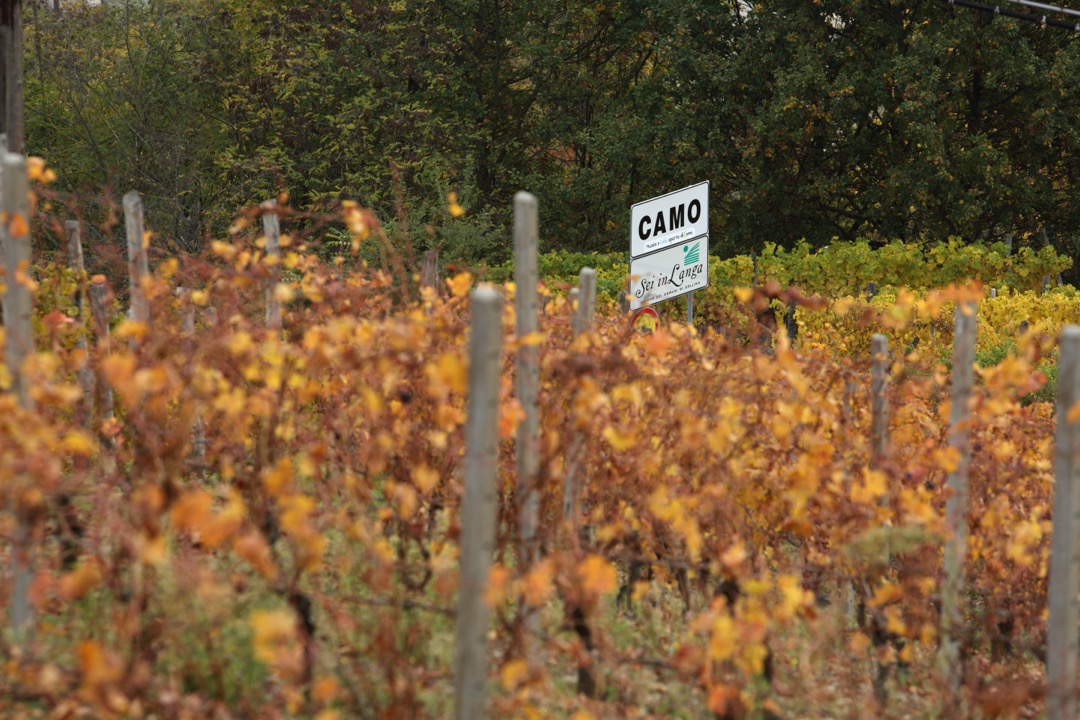 Cartello del paese di Camo tra i filari d'autunno