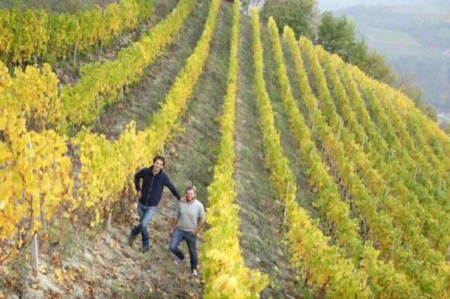 Ritratto di Gabriele Saffirio, fondatore e vignaiolo di 499